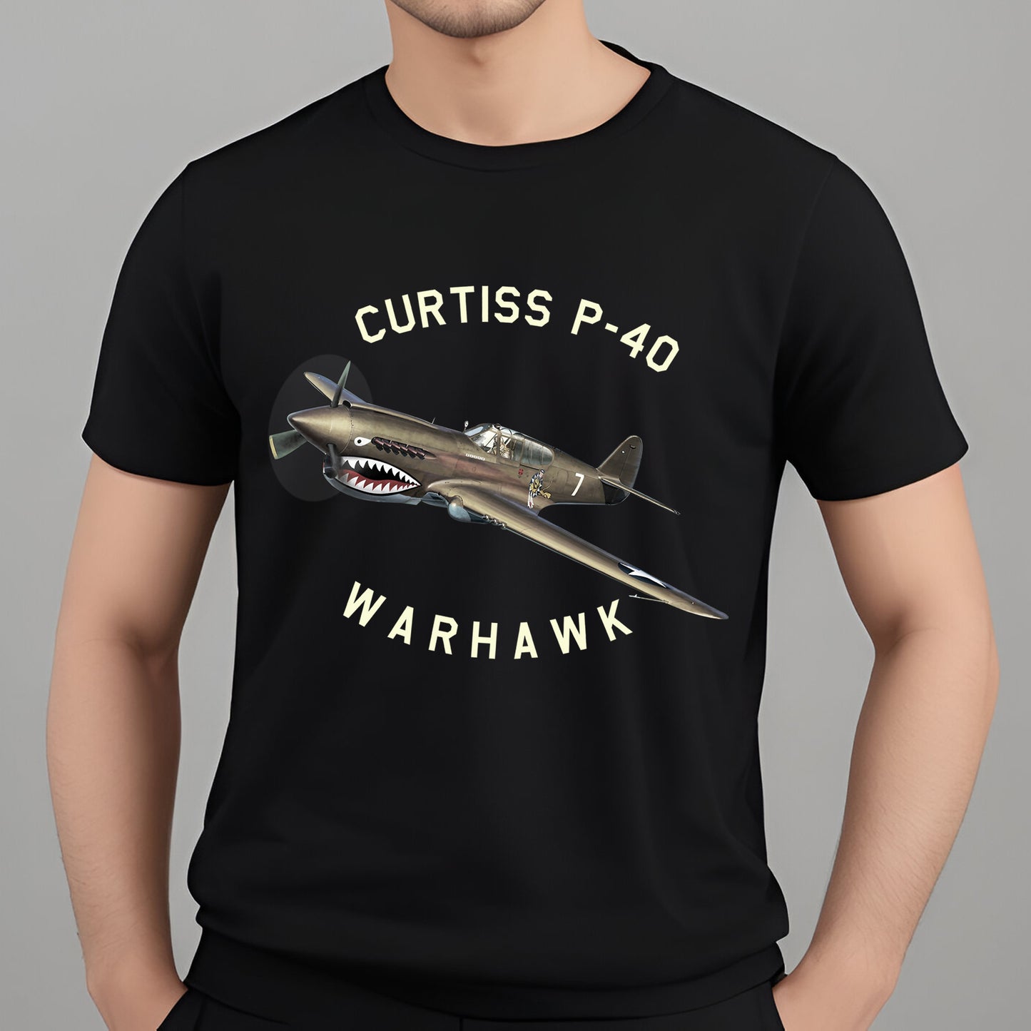 Curtiss P-40 Warhawk Classic Unisex T-Shirt Gildan 5000 (Made In US) BBTT2607PT09