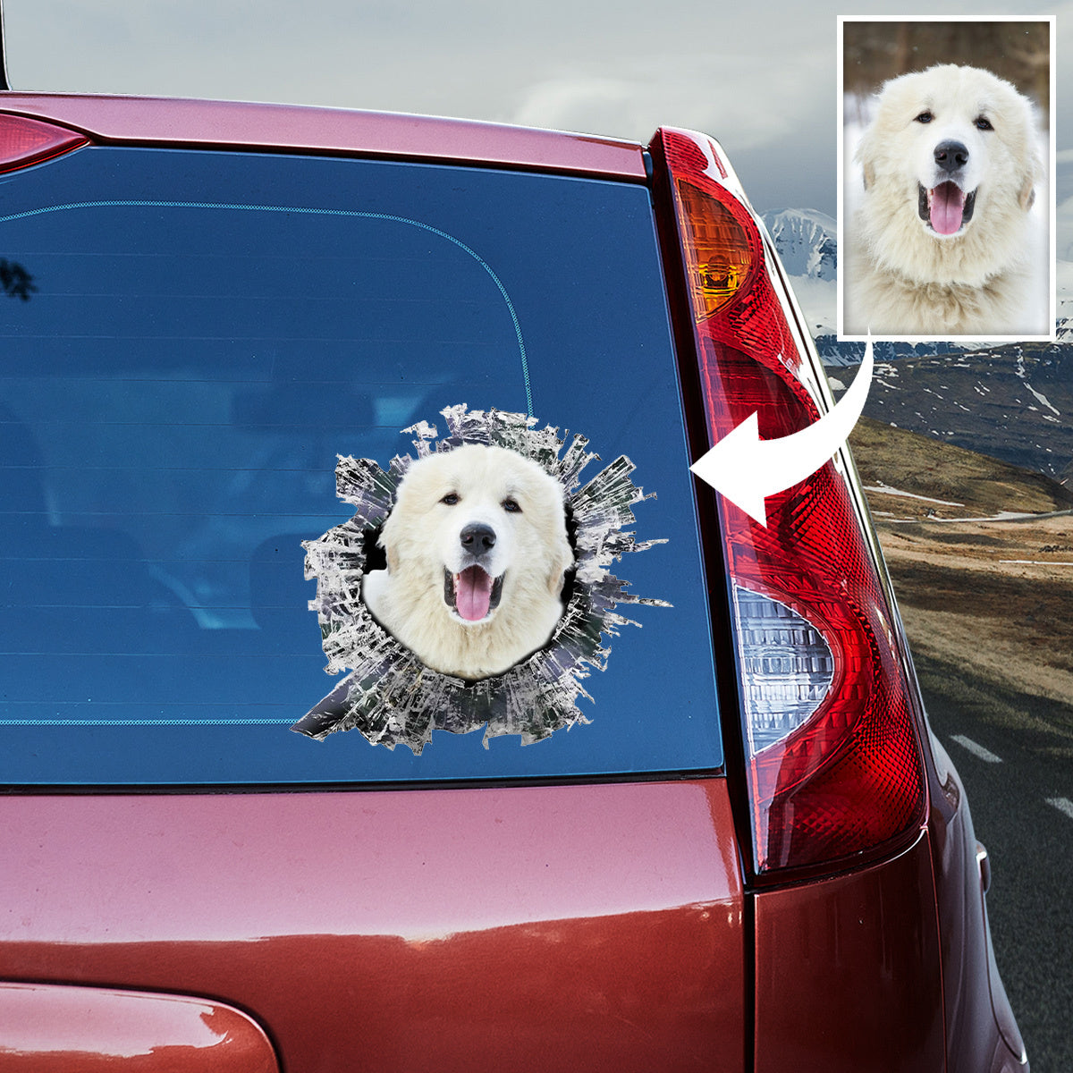 Custom Picture Transparent Vinyl Decal