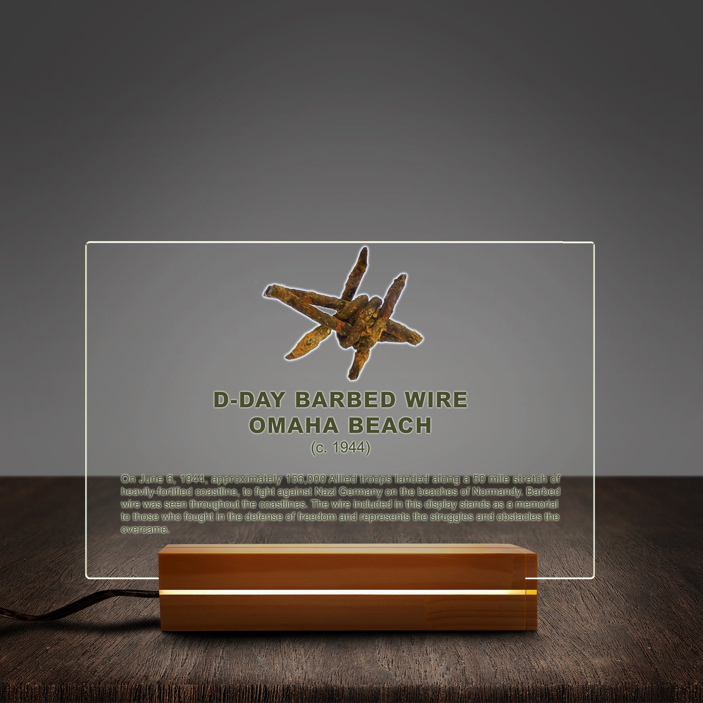 D-Day Memorabilia WW2 Barbed wire Omaha Beach Battle Custom Shape Photo Night Light
