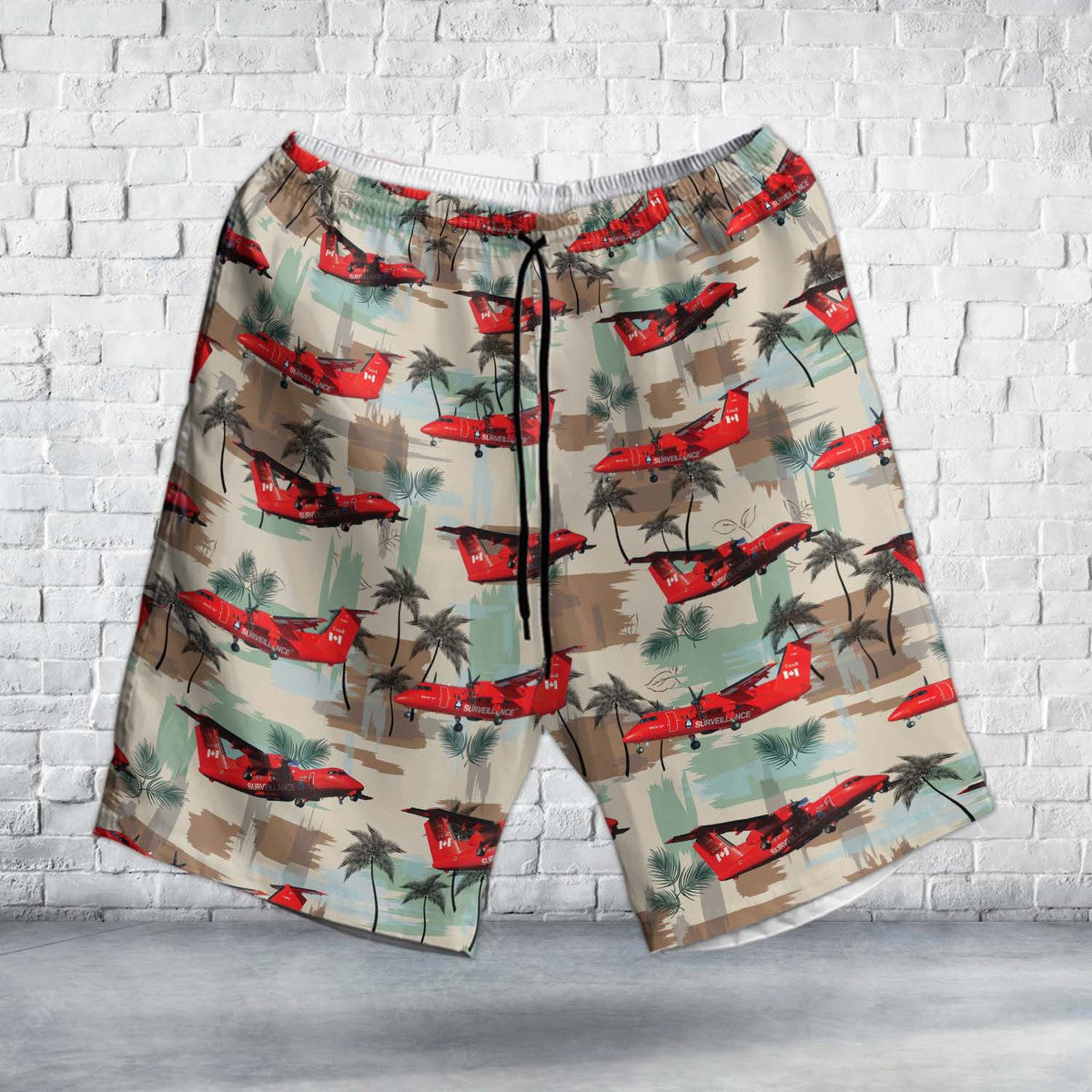 National Aerial Surveillance Program with Transport Canada Dash 8-100 Hawaiian Short