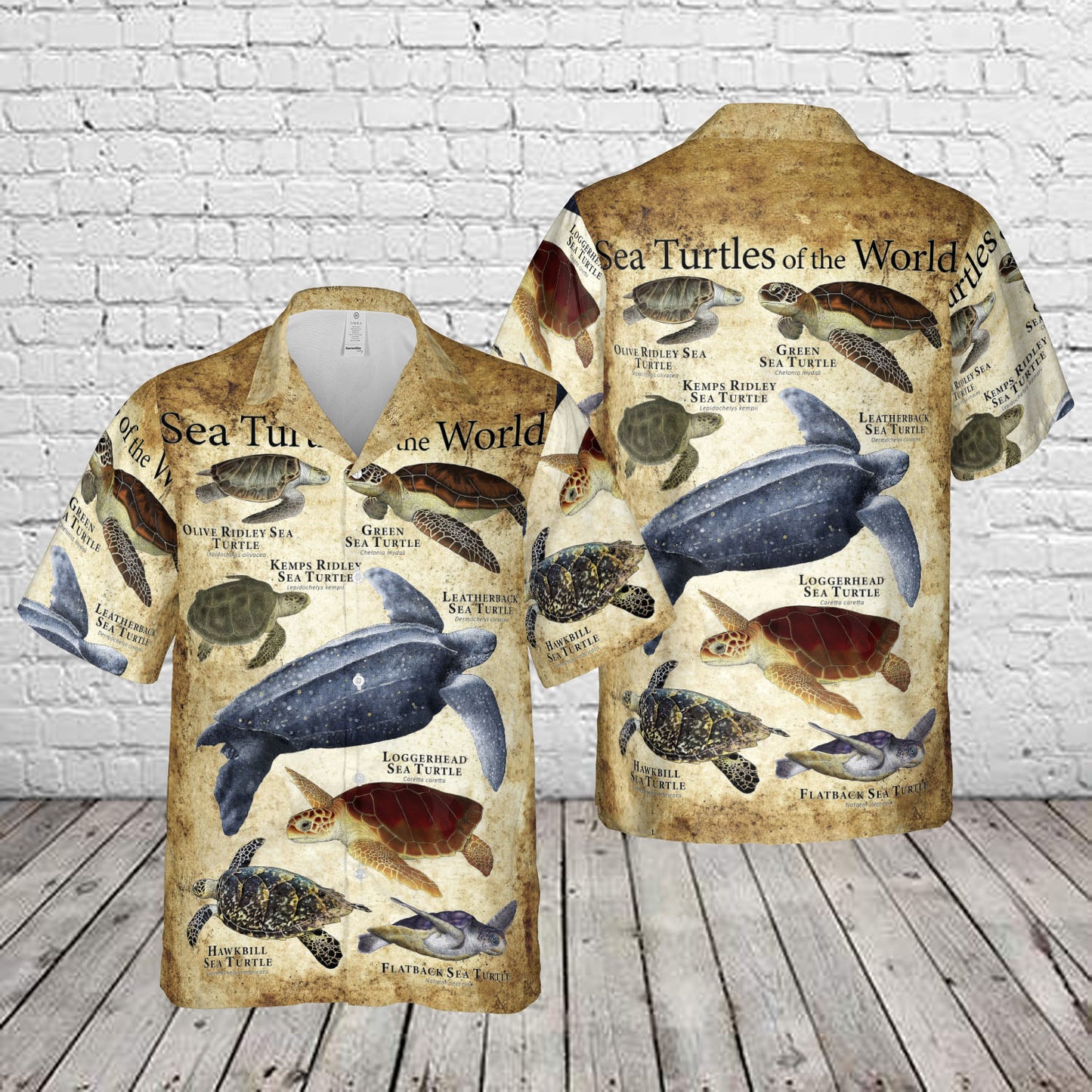 Sea Turtles of the World Hawaiian Shirt