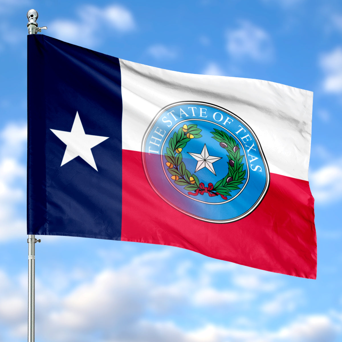 TEXAS with the state seal House Flag