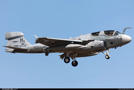 The Legacy of the US Marine Corps' EA-6B Prowler: The Role of VMAQ-3 "Moon Dogs" in Electronic Warfare