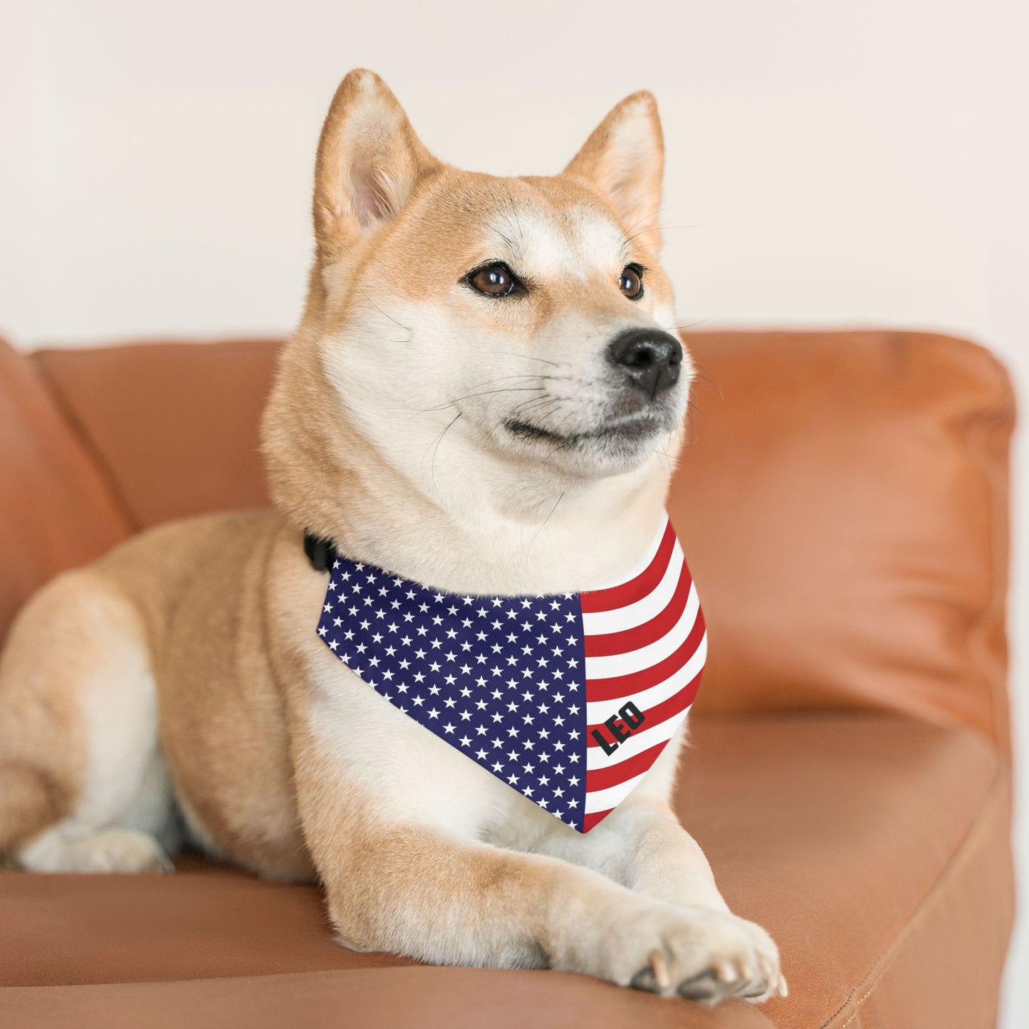 Custom Dog Name American Flag Pet Bandana Collar