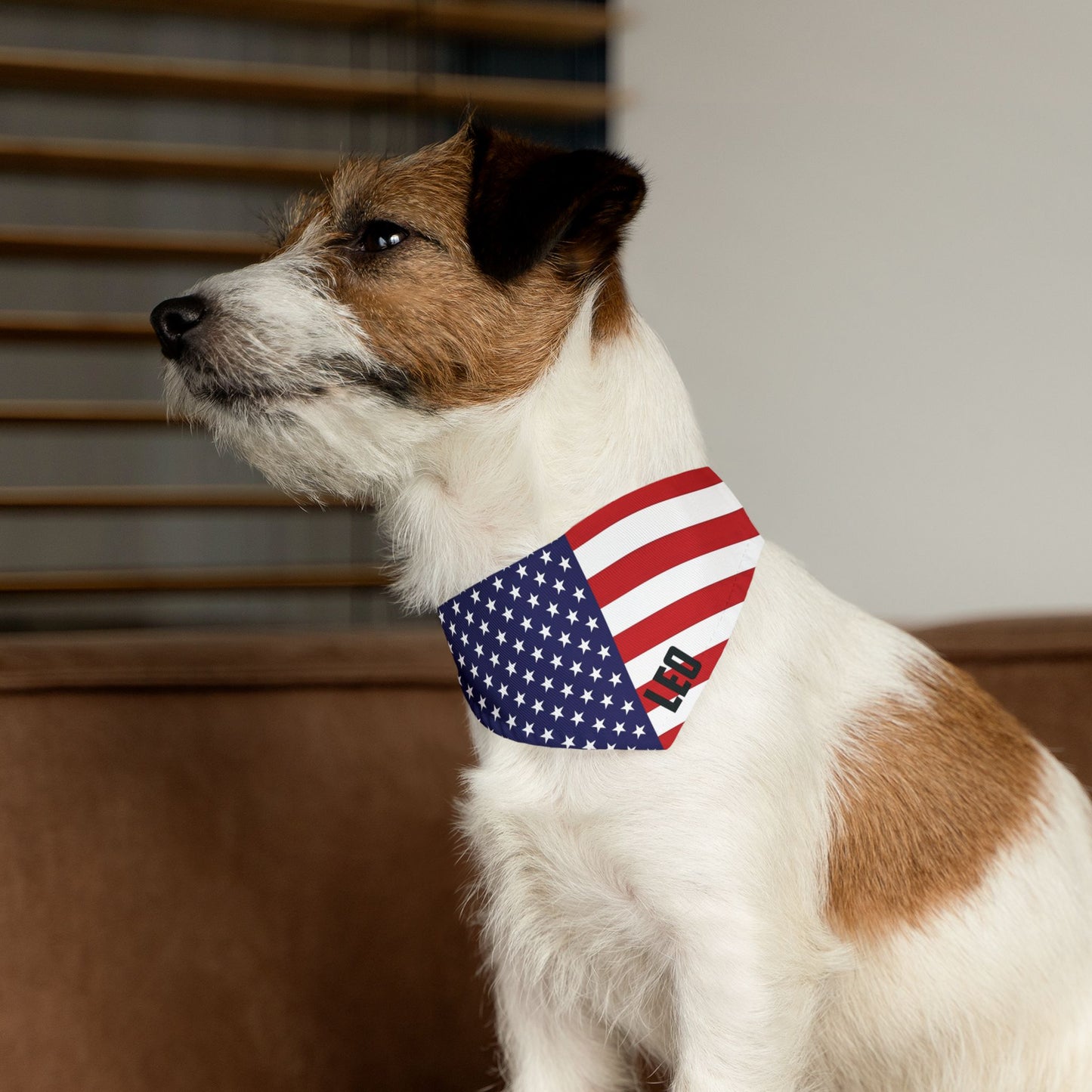 Custom Dog Name American Flag Pet Bandana Collar