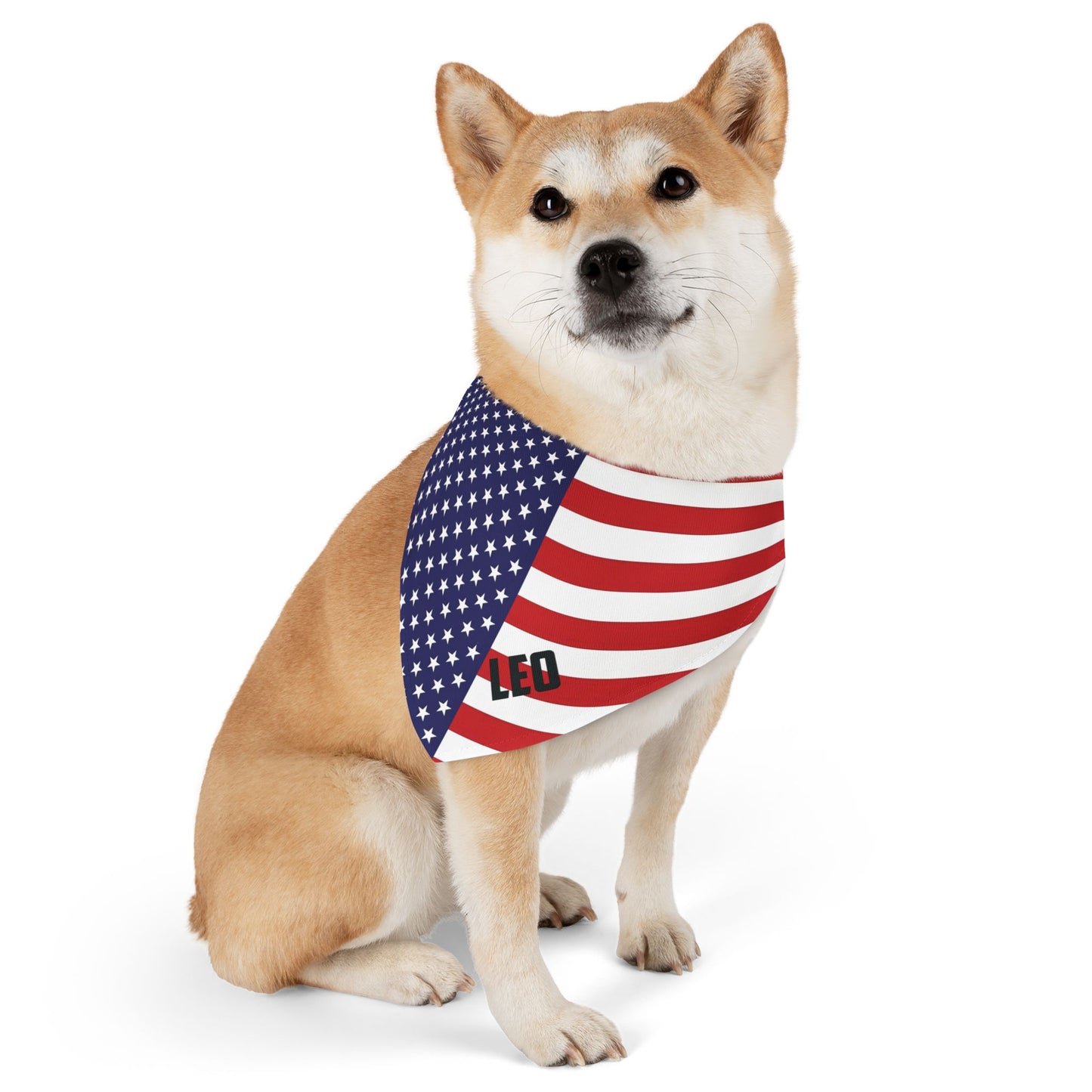 Custom Dog Name American Flag Pet Bandana Collar