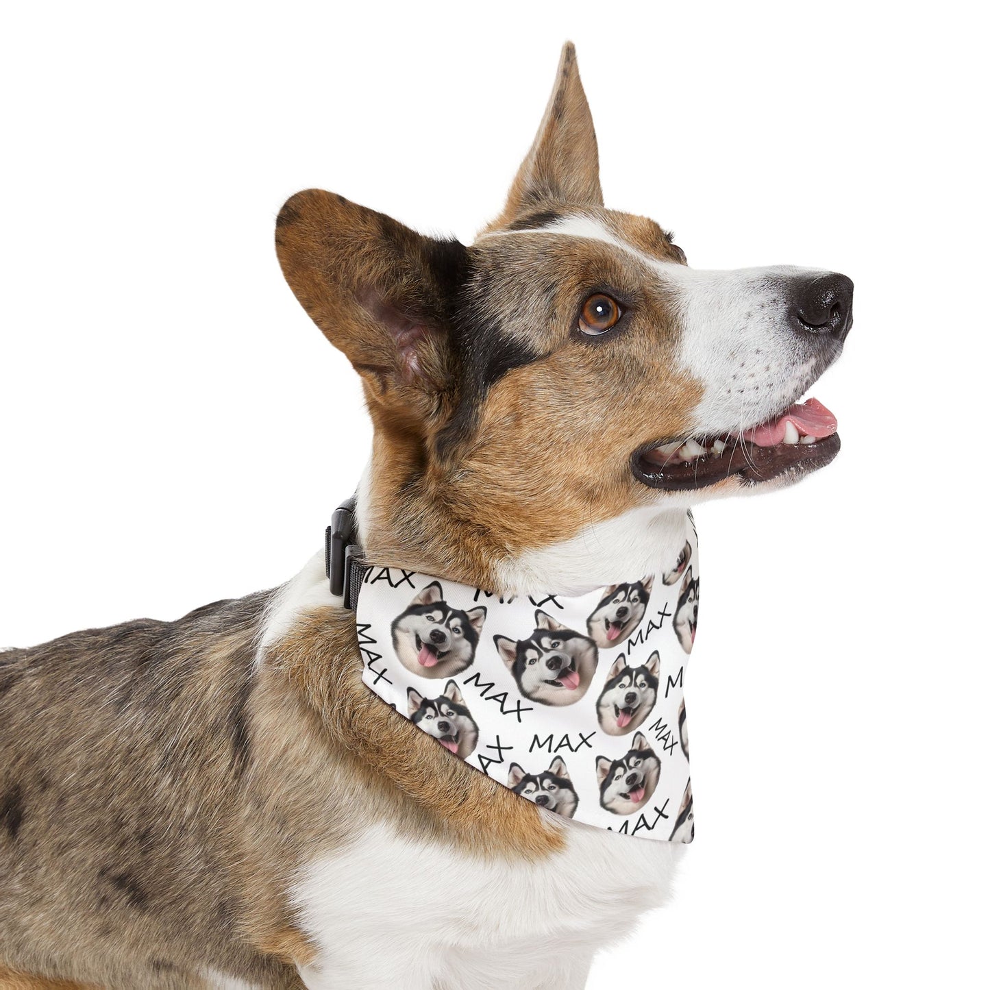 Custom Dog Nam And Face Pet Bandana Collar