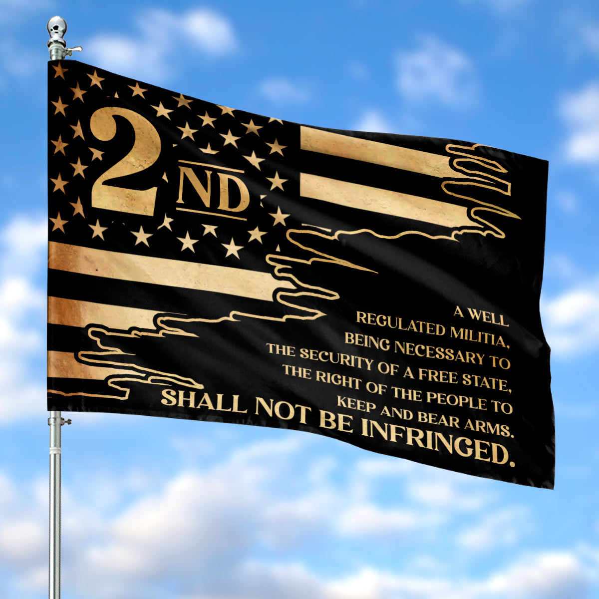 2nd amendment House Flag NLSI2502PK08