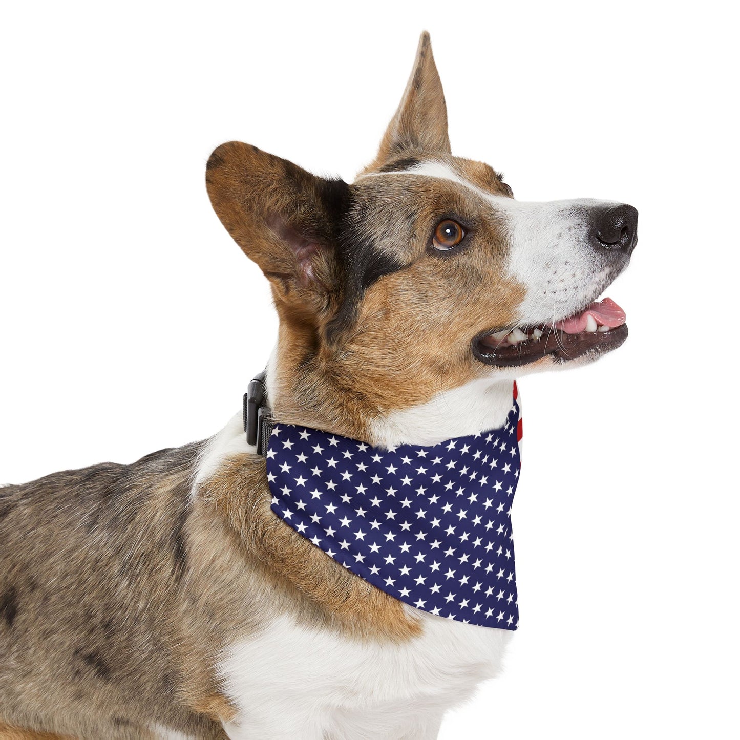 Custom Dog Name American Flag Pet Bandana Collar