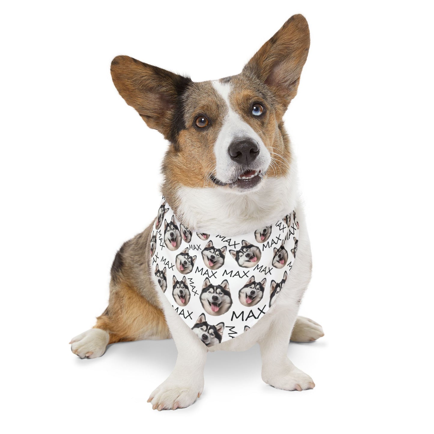 Custom Dog Nam And Face Pet Bandana Collar