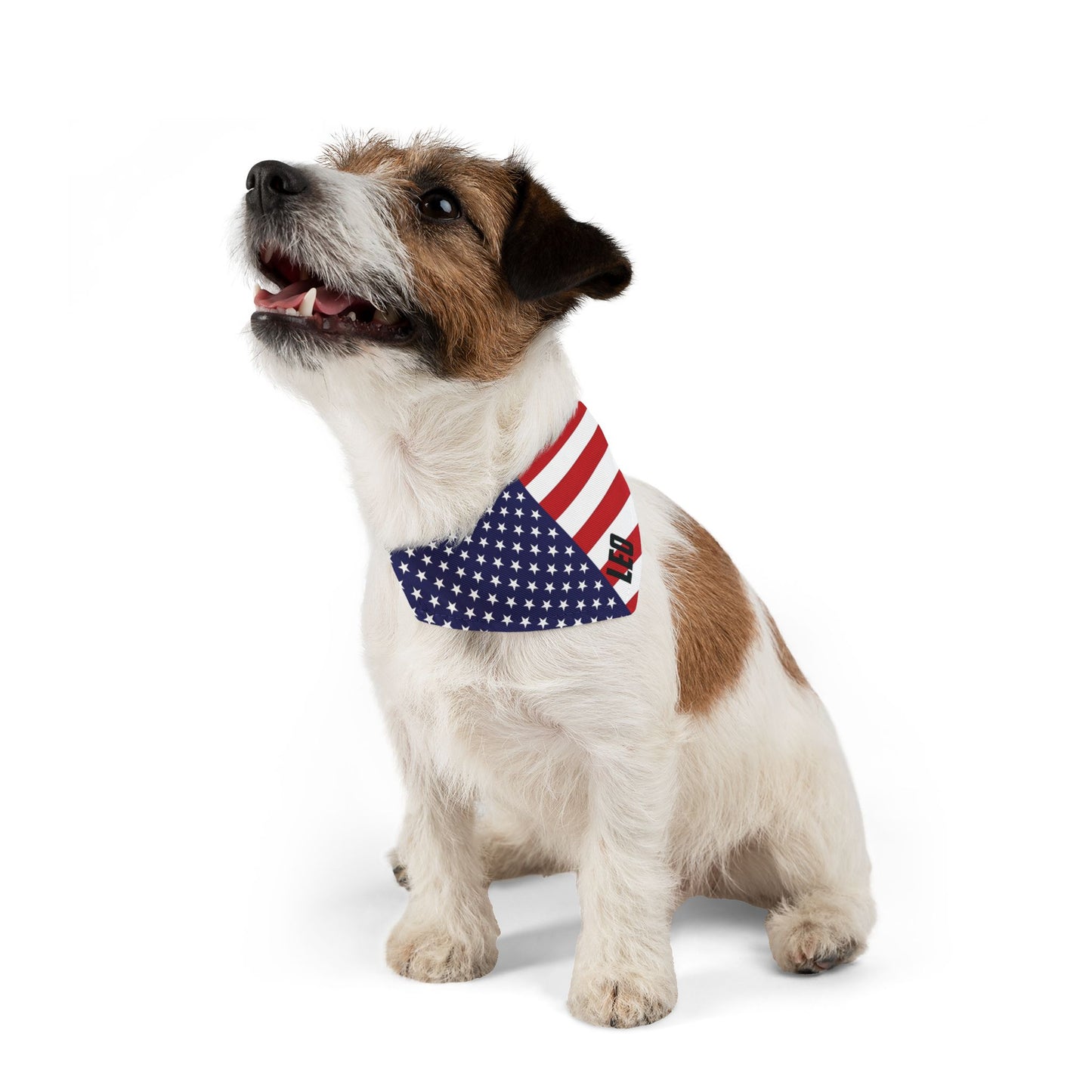 Custom Dog Name American Flag Pet Bandana Collar