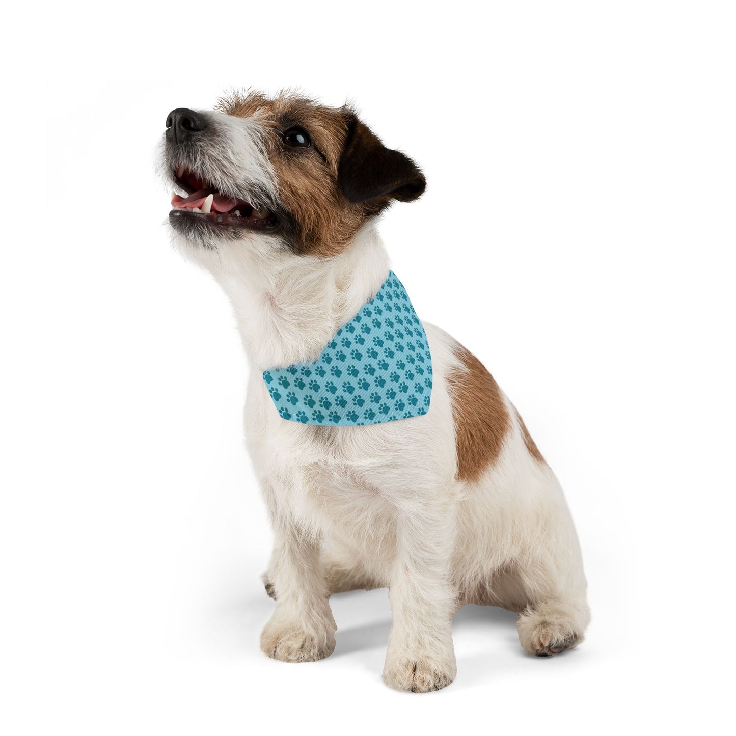 Paw Pattern Pet Bandana Collar