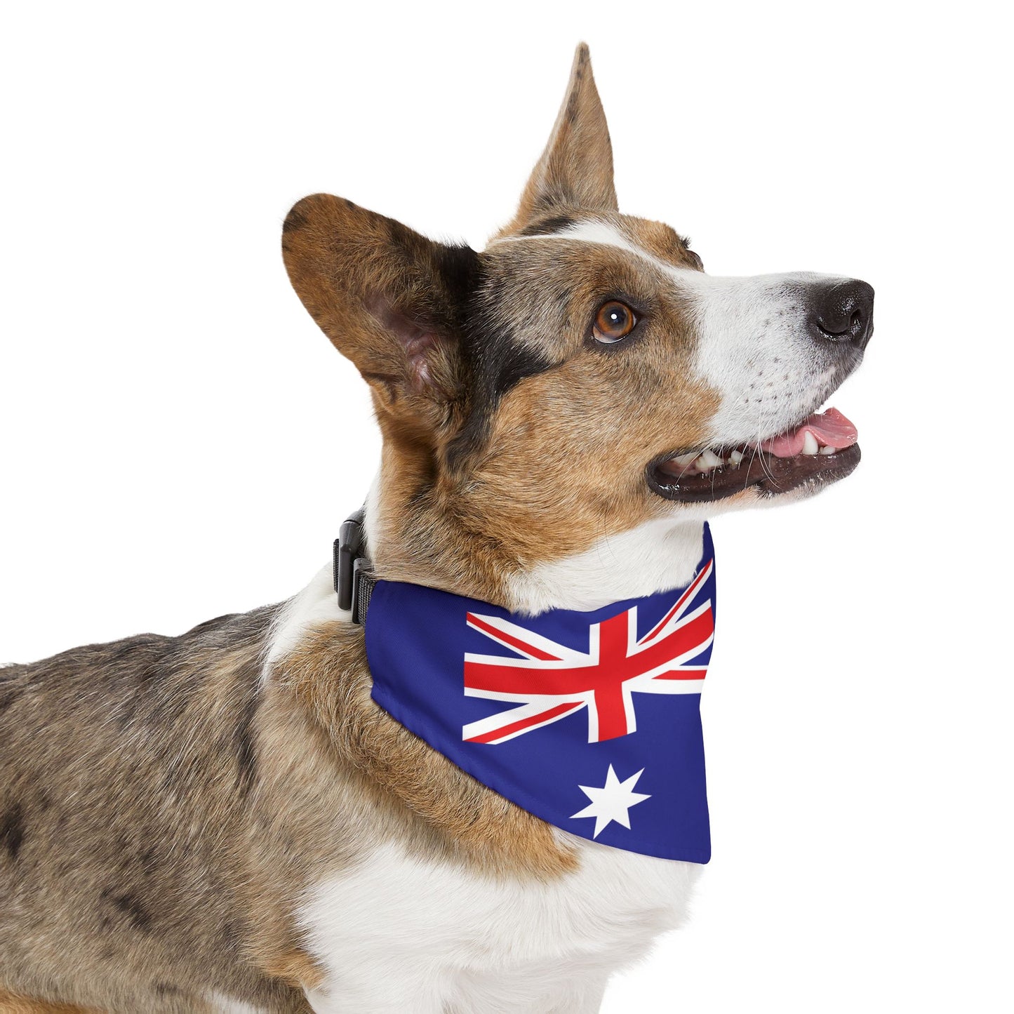 Australia Flag Pet Bandana Collar