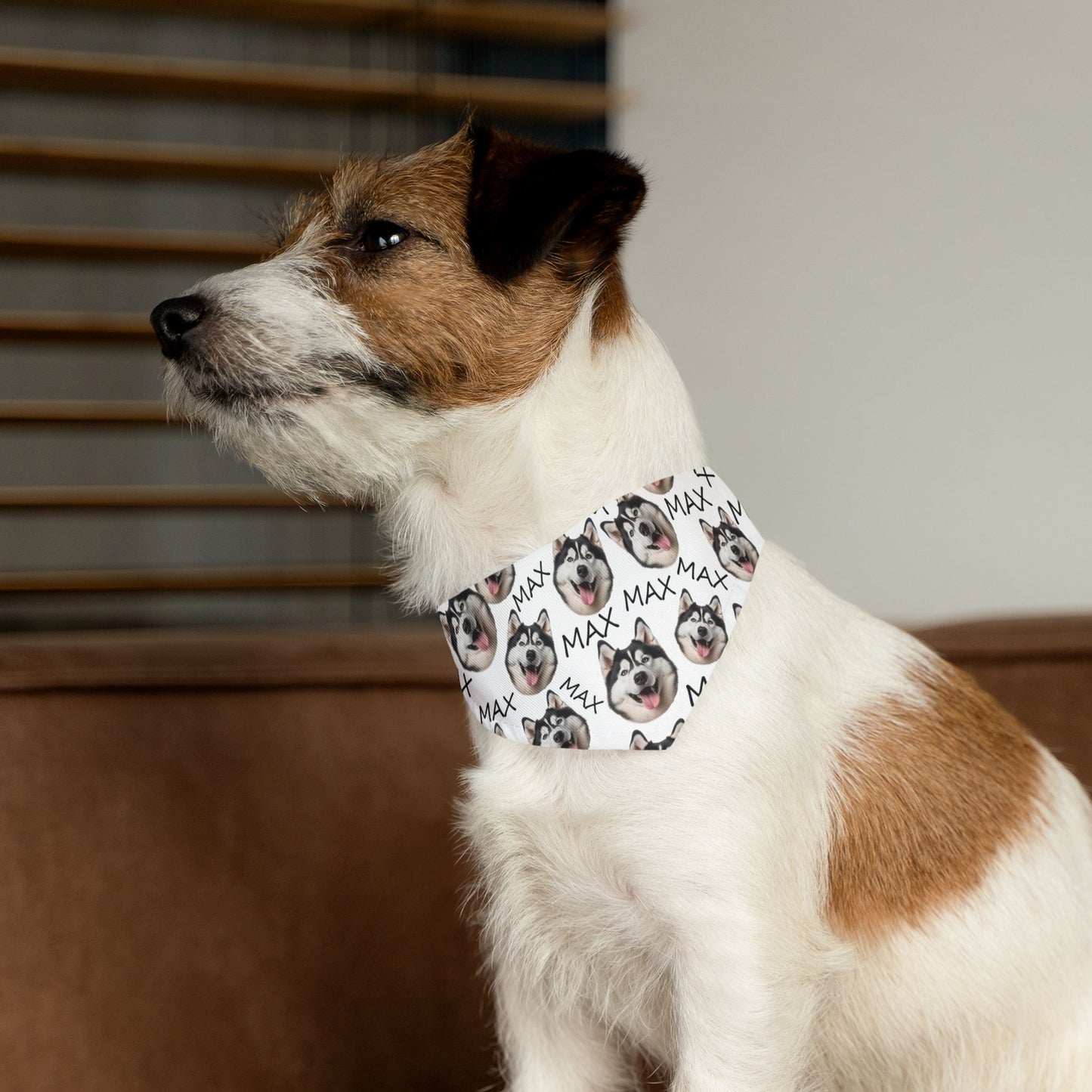 Custom Dog Nam And Face Pet Bandana Collar