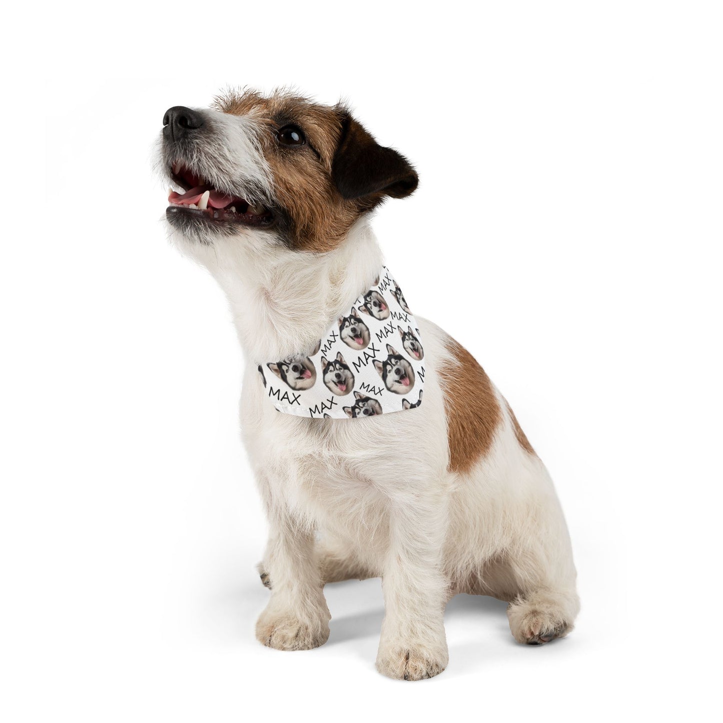 Custom Dog Nam And Face Pet Bandana Collar