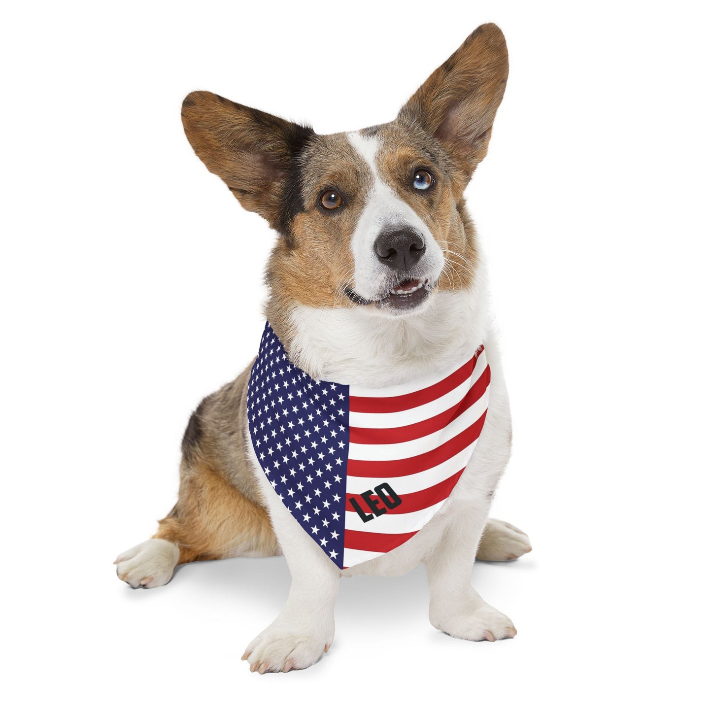 Custom Dog Name American Flag Pet Bandana Collar