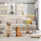 Golden Retriever Dog Wooden Jewelry Box, Handcrafted Golden Retriever Dog Lover's Gift
