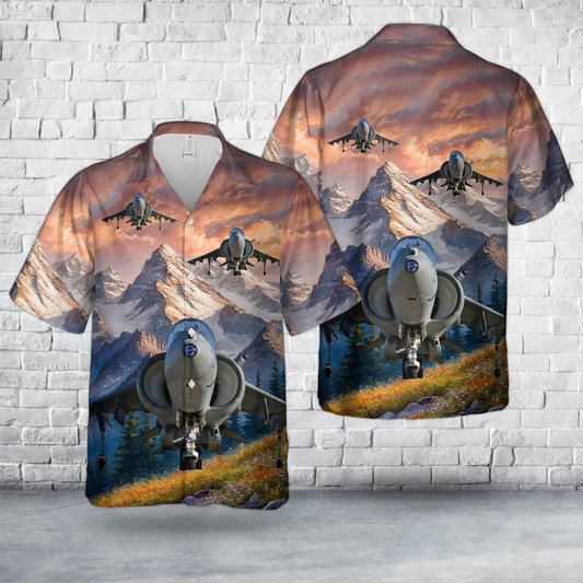 McDonnell-Douglas AV-8B Harrier II BuNo 164141, VMAT-203 "Hawks" Hawaiian Shirt